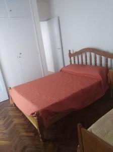 图蓬加托火山Departamento céntrico Tupungato的客房内的一张红色棉被床
