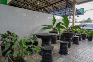 肯达利RedDoorz Syariah @ Hotel Wisma Indonesia Kendari的一组坐在桌子旁的盆栽植物