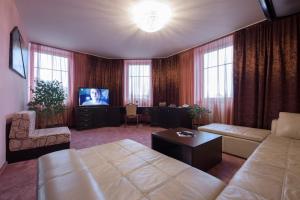卢切内茨斯洛文酒店的带沙发和电视的客厅