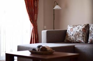 克卢日-纳波卡Cabrio Apart Hotel的客厅配有沙发和桌子