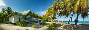 提克豪Fafarua Ile Privée Private Island的棕榈树海滩上的房子