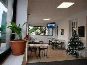 BonsonHOTEL HOSTELLERIE DES VOYAGEURS的一间设有圣诞树、桌子和椅子的客房