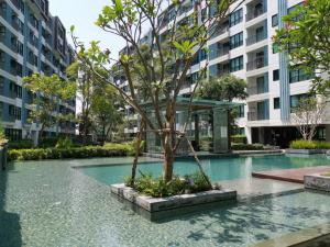 普吉镇4 Floor - Centrio Condominium near Shopping Malls and Andamanda Water Park的建筑物中泳池中间的树