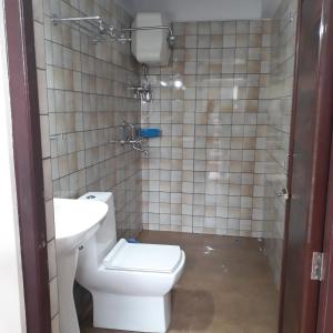大吉岭Little Singamari Home Stay的一间带卫生间和水槽的浴室