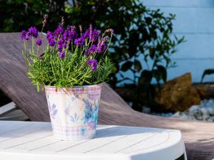 巴伊亚卡萨雷斯Casa Olina的花瓶,花朵盛满紫色,坐在桌子上