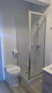 布里夫拉盖亚尔德波雷加德酒店的带淋浴、卫生间和盥洗盆的浴室