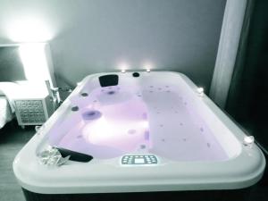 巴雷罗斯瑞福吉奥卡斯特罗酒店的客房内的粉红色浴缸配有灯