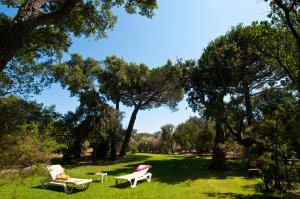维琪奥港Villa Les Lieges de Palombaggia的树木繁茂的公园里,两把椅子和一张桌子