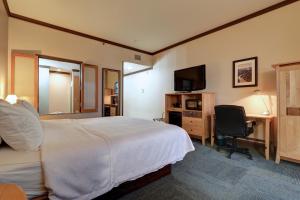 安克雷奇戴蒙德中心酒店的酒店客房配有一张床、一张书桌和一台电视。