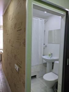 切尔尼戈夫Apartment near city center on Peremohy Avenue 46的一间带卫生间和水槽的浴室