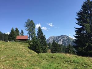 皮恩山口附近施皮塔尔Jagdhütte Gammeringalm的山丘上树木和山丘的房子