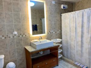 棕榈滩屠卡西塔阿鲁巴度假屋的一间带水槽和淋浴帘的浴室