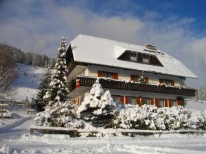 Schöder加昂尔旅馆的屋顶上积雪的房子