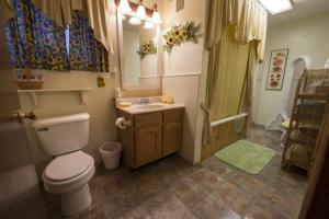 佩吉Canyon Colors Bed and Breakfast的浴室配有卫生间、盥洗盆和淋浴。