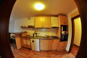 Martinice卡帕尔尼瑟公寓的一个带木制橱柜和水槽的小厨房