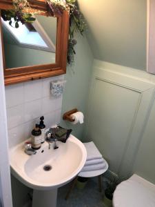 金洛赫兰诺赫The Rannoch Nest, Kinloch Rannoch的一间带水槽、镜子和卫生间的浴室