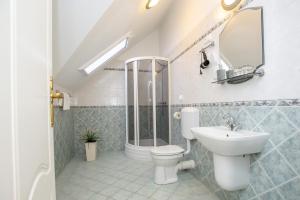 豪伊杜索博斯洛Villa Rosa的浴室配有卫生间、盥洗盆和淋浴。
