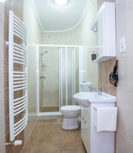 豪伊杜索博斯洛Villa Rosa的浴室配有卫生间、盥洗盆和淋浴。