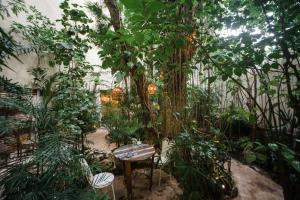 普拉亚卡门Hotel La Semilla a Member of Design Hotels的花园,花园内有桌子和树木及植物