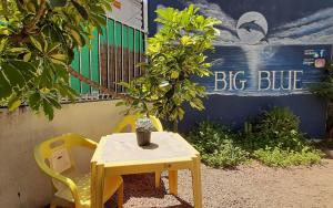 开普敦蓝色巨人背包客旅舍的黄桌,黄椅和盆栽植物