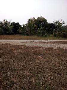 Ban Huai DuaTent KONOK的一条有树的空土路