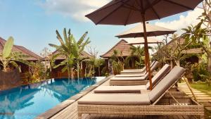 蓝梦岛格东努萨旅馆的游泳池旁一排带遮阳伞的躺椅