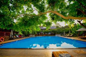 阿努拉德普勒4 U萨利亚花园酒店的树下的大型蓝色游泳池