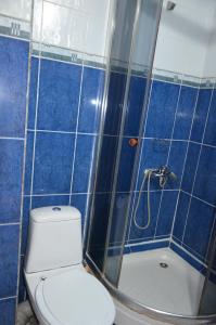 阿拉木图Hotel Kezdesu的蓝色瓷砖浴室设有卫生间和淋浴。