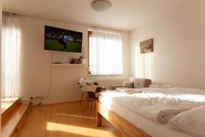 布拉格Vitkov Park Apartment的卧室配有一张床,墙上配有电视。