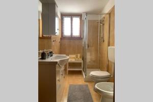 DivignanoCountry Corner Lago Maggiore的一间带水槽、卫生间和淋浴的浴室