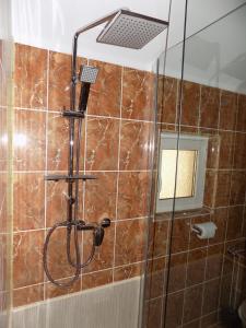 伯伊莱海尔库拉内伊甸园旅馆的带淋浴的浴室和玻璃门