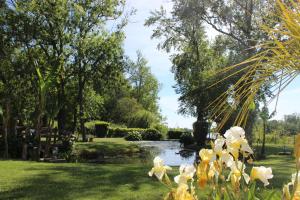 利布尔讷Clos Bernon的一个带池塘和鲜花的花园