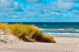 奥茨塞巴德·迪尔哈根Buhne 10 App Nr 26 max 2 Pers的享有大海美景的沙滩