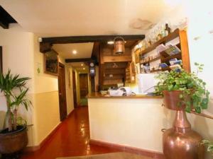 波特斯Hostería La Antigua的厨房配有柜台和一些盆栽植物
