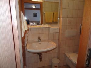 萨尔巴赫彼得酒店的一间带水槽、卫生间和镜子的浴室