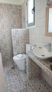 雷夫卡达镇Lefkada Princess Junior Suite的一间带卫生间和水槽的浴室