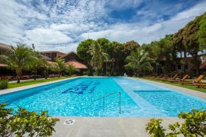 圣克鲁斯科尔特斯酒店的一座拥有蓝色海水和棕榈树的大型游泳池