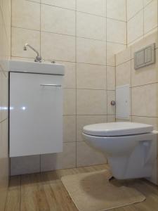克拉科夫Pokoje Gościnne的浴室配有白色卫生间和盥洗盆。