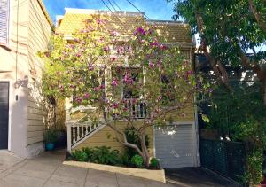 旧金山巴厘海卡斯特罗度假屋的车库前一棵带粉红色花的树