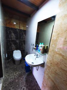 金巴兰Capung Guesthouse的一间带卫生间、水槽和镜子的浴室