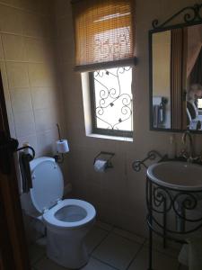 香槟谷渡河酒店的一间带卫生间、水槽和窗户的浴室