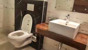 新德里Airport Hotel Delhi Aerocity的浴室配有白色卫生间和盥洗盆。