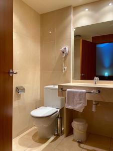贝尔加贝尔加公园酒店的一间带卫生间、水槽和镜子的浴室