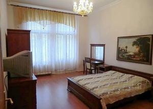 卡罗维发利7K - 温泉公寓的一间卧室设有一张床、一台电视和一个窗口。