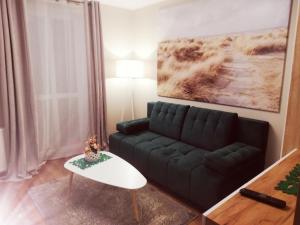 比得哥什普利兹吉姆纳内公寓的客厅配有黑色沙发和桌子