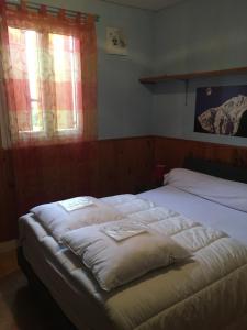 阿拉纽埃Gîte Espace et Montagne的一间卧室设有两张床和两个窗户。