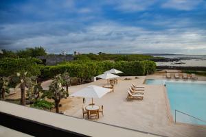 阿约拉港加拉帕戈斯芬奇湾酒店的享有带椅子和遮阳伞的游泳池景致