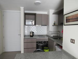 圣地亚哥Birdhouse Apartment的厨房配有水槽和炉灶 顶部烤箱