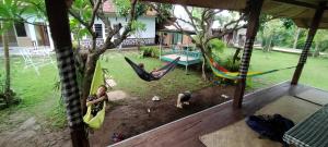 新加拉惹依莎库布民宿的躺在院子里吊床上的女人