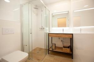 桑坦德Apartamentos Reina Victoria的带淋浴、卫生间和盥洗盆的浴室